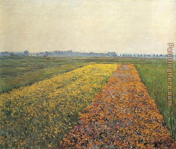 The Yellow Fields at Gennevilliers painting - Gustave Caillebotte The Yellow Fields at Gennevilliers art painting